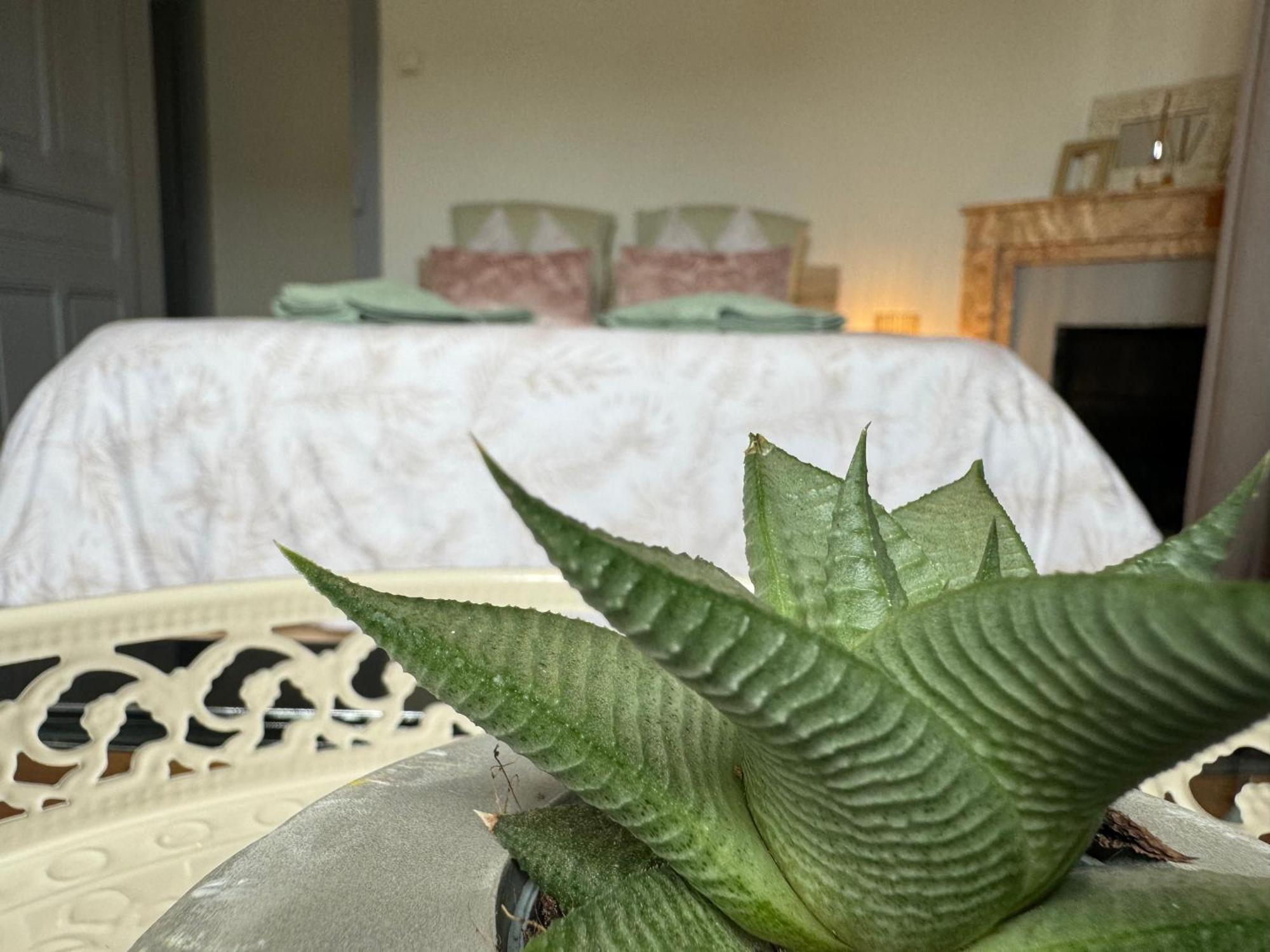 Apartment La Viarhona A Bregnier-Cordon Bagian luar foto